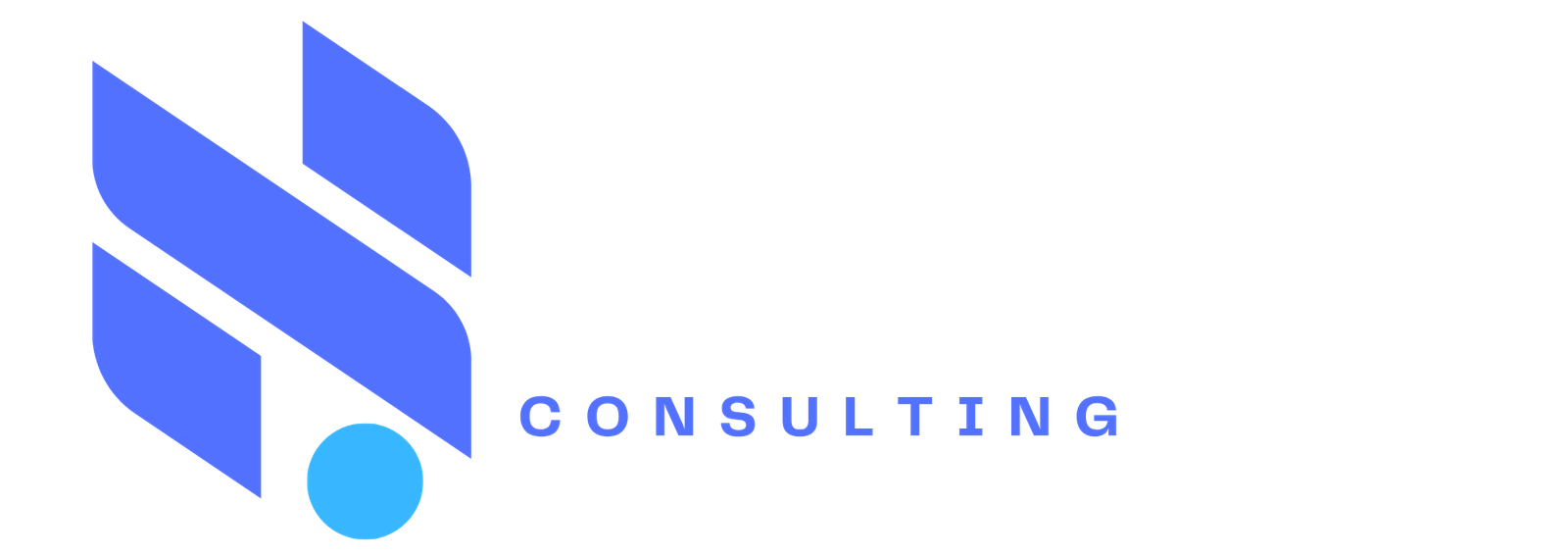 Norvexa logo dark